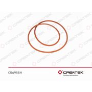 Кольцо бортовой передачи уплотнительное (255*5) -MCP16 SITRAK CREATEK // MQ6-56341-4254